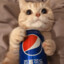 pepi cola