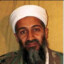 Bin Laden