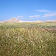 nebraska