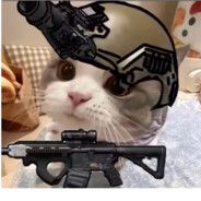 𝙕𝙄 𝙔𝙄𝙐