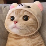 何以与君识