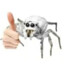 Spiders