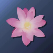 邦多利最惨粉毛