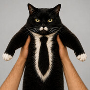 GATO CASTRADO CON CORBATA