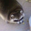 IAteYourBread