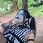 IckyNicky_ClownThing