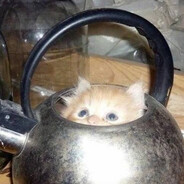 КисЯ