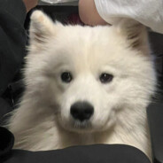 街机不会玩就滚去洗碗