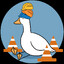 Local Safety Duck
