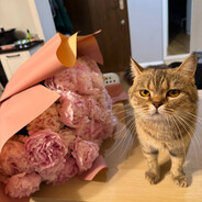 p3ach avatar