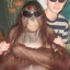 Pongo