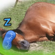Zfsxadcw4ert