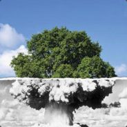 Snookk - steam id 76561197964484069