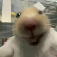 这个我是真喜欢