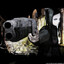 Drake