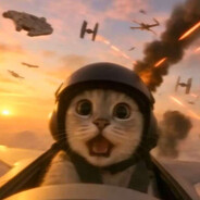 一车面面面面面面面包人