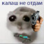 лунный кот