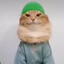 muslim cat