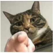 我是菜鸡别打我好吗