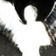 Angel of War