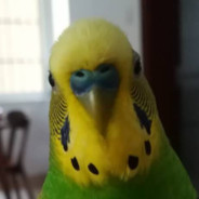 不拉屎の亚空间压缩术