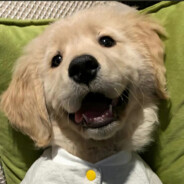 大飞机机机机机机机机