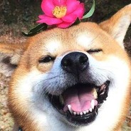 大狙我保了