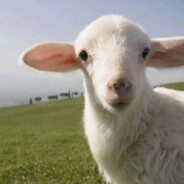 想被vsk大英警察入职场