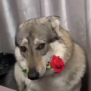 超雄性感热辣抑郁男神屙瘪在床惨遭护工暴打