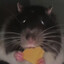 Cheese Biscuits
