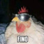 FINO