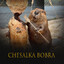 ChesalkaBobra