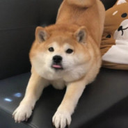 挣钱给女友找男模也给自己点俩个女模玩