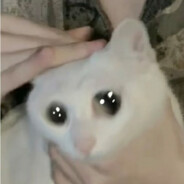 达摩克里斯之剑