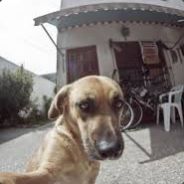 ПОЗВОНОЧНИК(BAN)