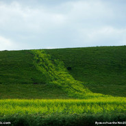 绿绿绿绿绿绿绿色玩家