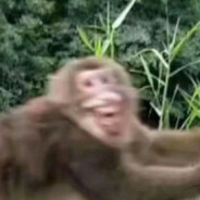 v我50给你开黑市