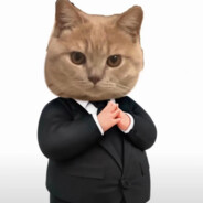 猫猫律师，前来办案