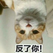 猫猫叹气
