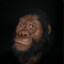 homo potamian 2
