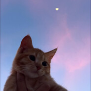 - 𝓩𝓪𝓲𝓷𝓪𝓪𝓪