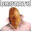 Brotato