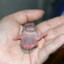 Small Dick