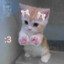 KittWix