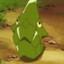 Metapod