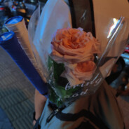 不吵不闹的十月