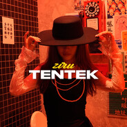 TENTEK avatar