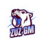 ZUZ GM