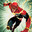 flash SKINS