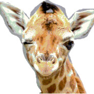 YoungOro - steam id 76561199666371155